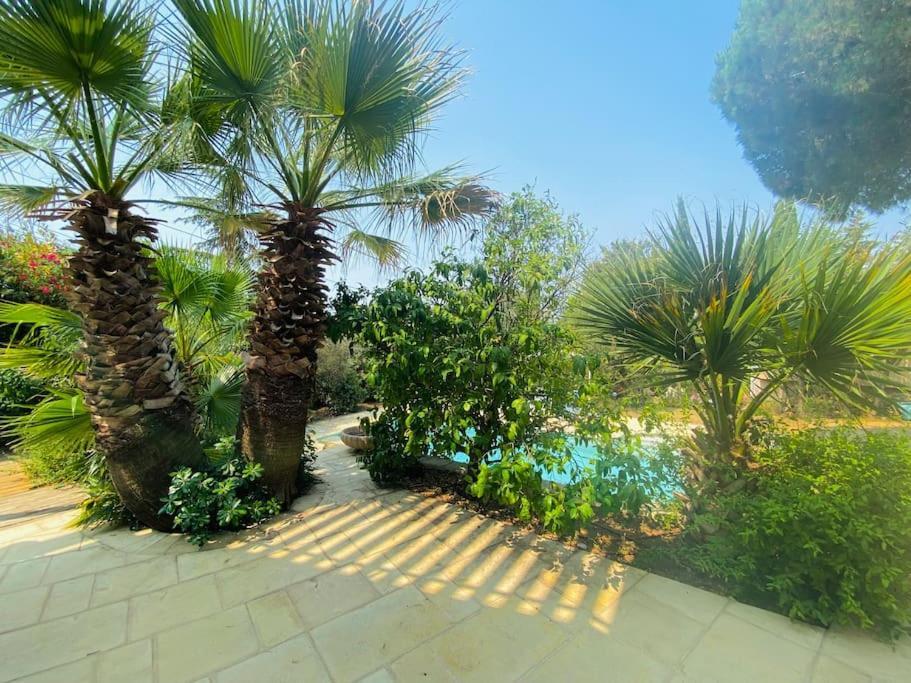 Atlantide - Somptueuse Villa Classee 4 Etoiles - Saint-Clair - Vue Exceptionnelle - Piscine Sète Zewnętrze zdjęcie