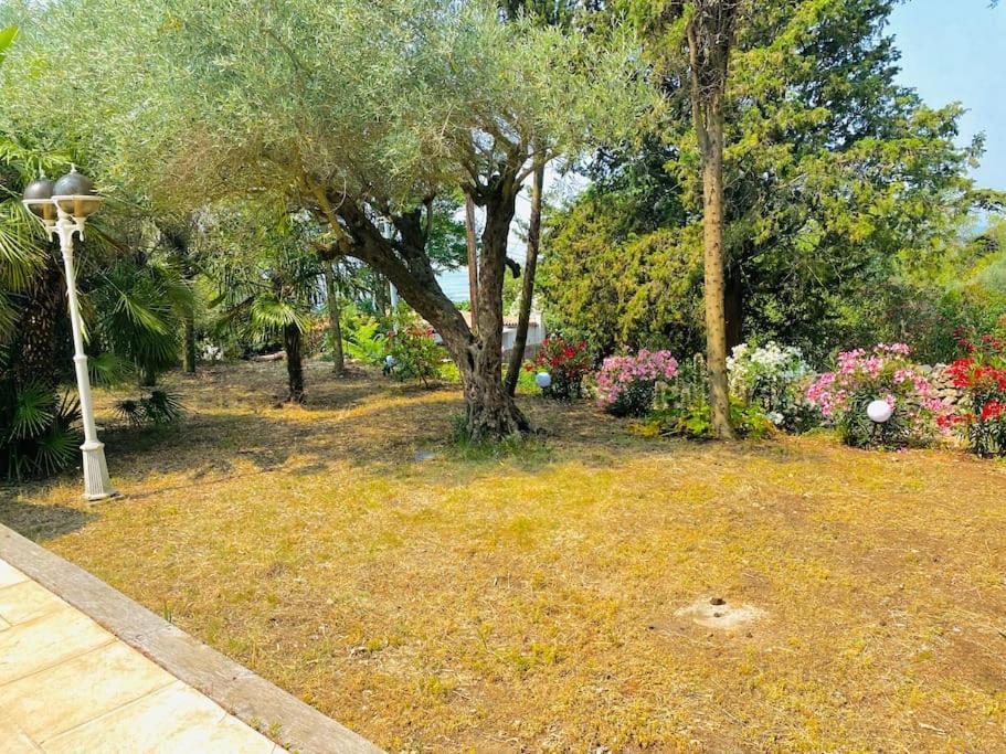 Atlantide - Somptueuse Villa Classee 4 Etoiles - Saint-Clair - Vue Exceptionnelle - Piscine Sète Zewnętrze zdjęcie
